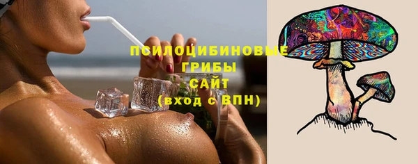 твердый Заводоуковск