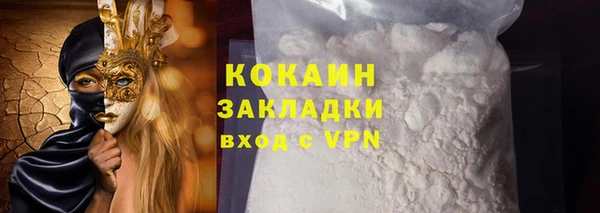 твердый Заводоуковск