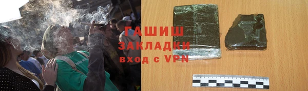 твердый Заводоуковск
