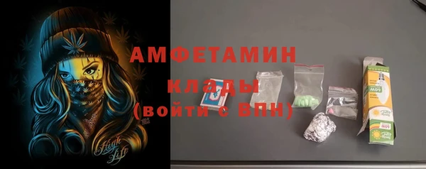 твердый Заводоуковск