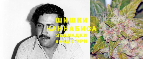 твердый Заводоуковск